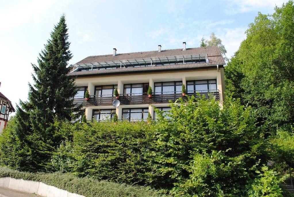 Panorama Hotel Pension Frohnau باد ساخسا المظهر الخارجي الصورة